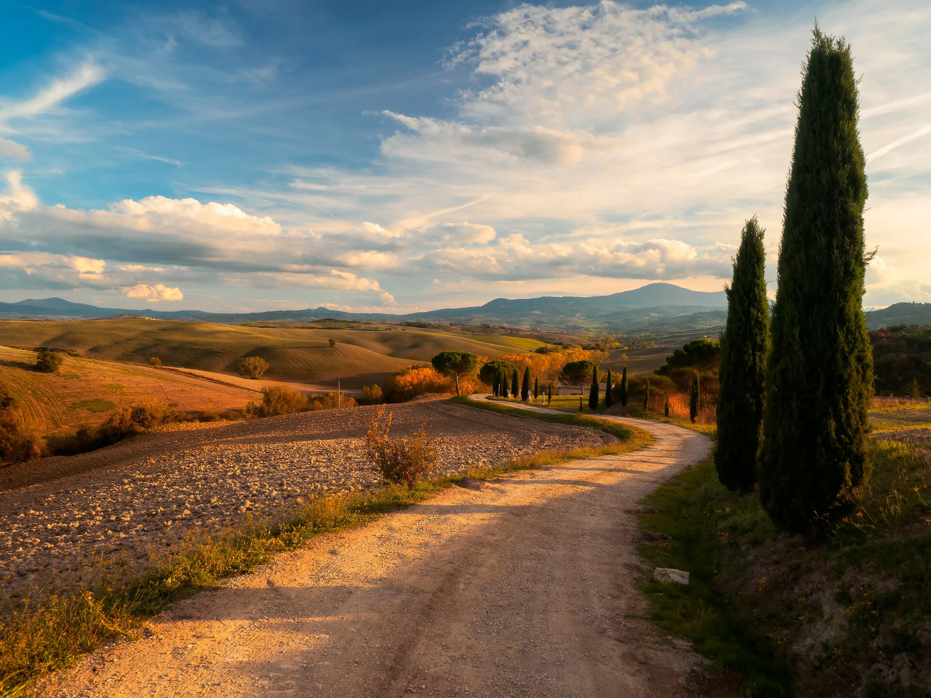 Tuscany Val d'Orcia landscape with cypress trees and rolling hills in autumn light