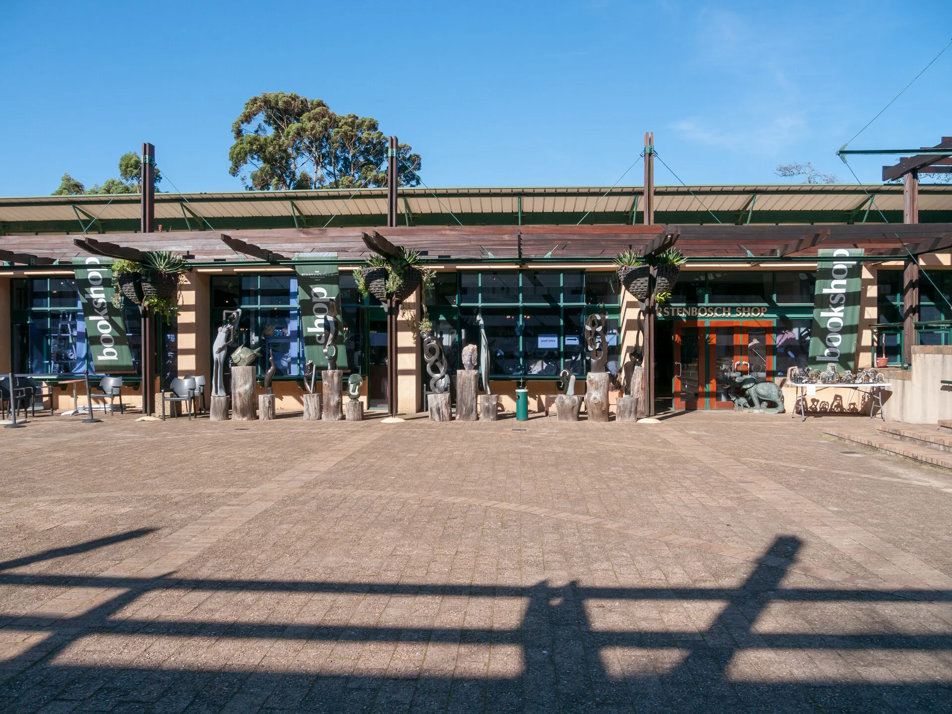Kirstenbosch National Botanical Garden with the Tree Canopy Walkway and Table Mountain backdrop