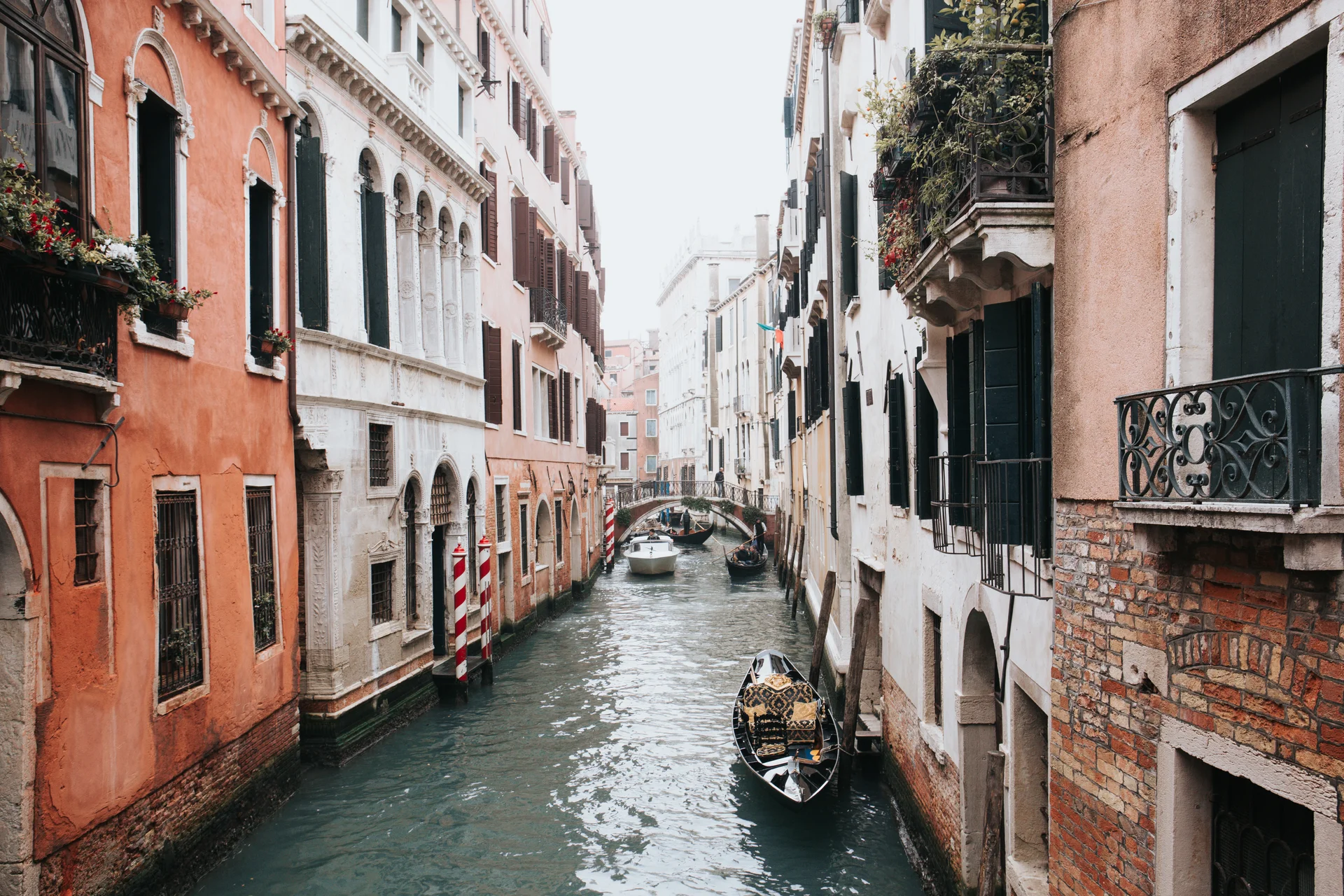 Gondolas moored along the Grand Canal with the domes of Santa Maria della Salute rising behind them at golden hour in Venice