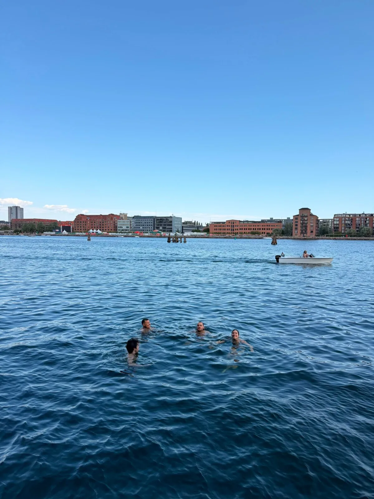 People swimming in the clean water of Copenhagen harbour on a sunny summer day