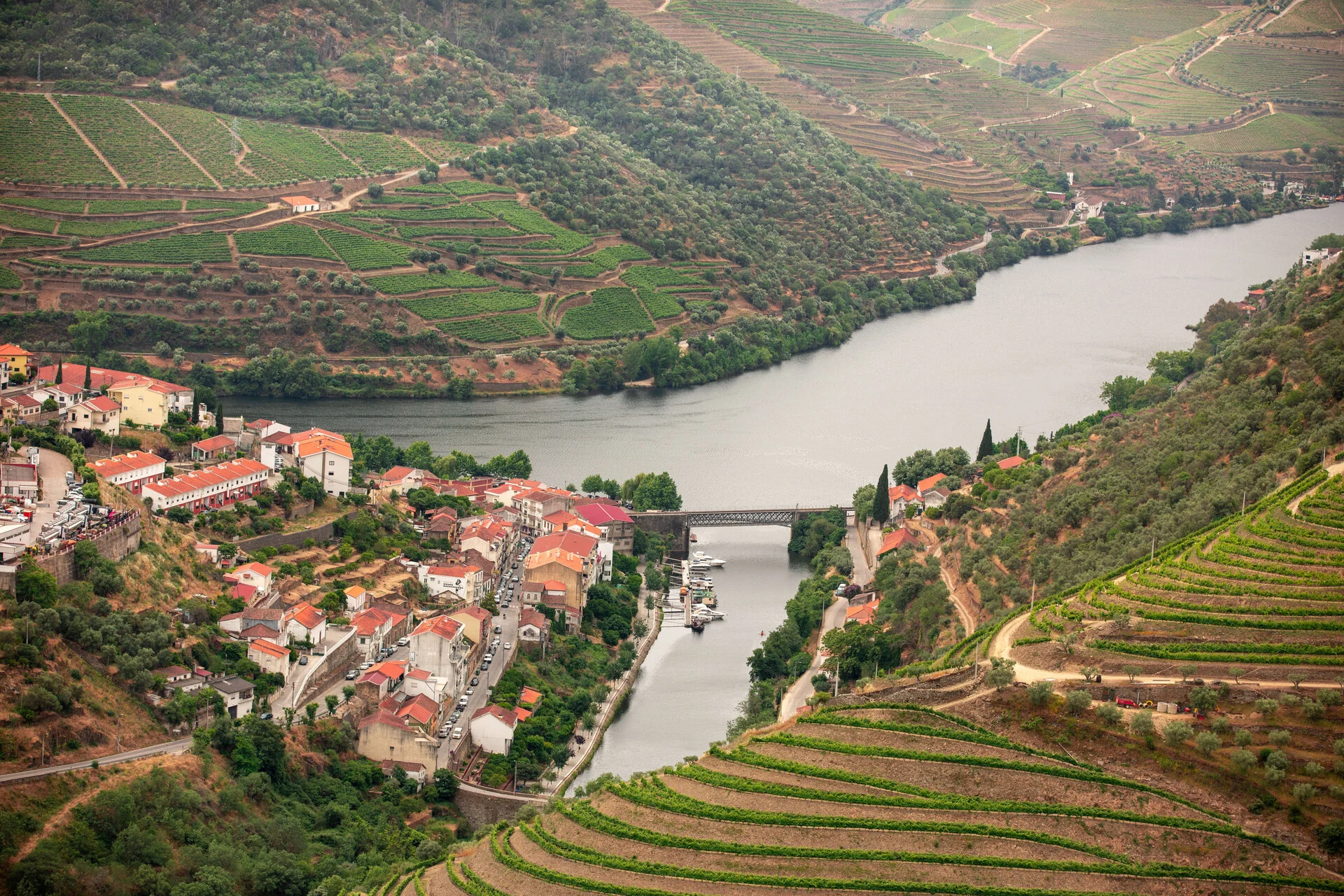 Best Douro Valley Wine Tours from Porto (2026 Guide)
