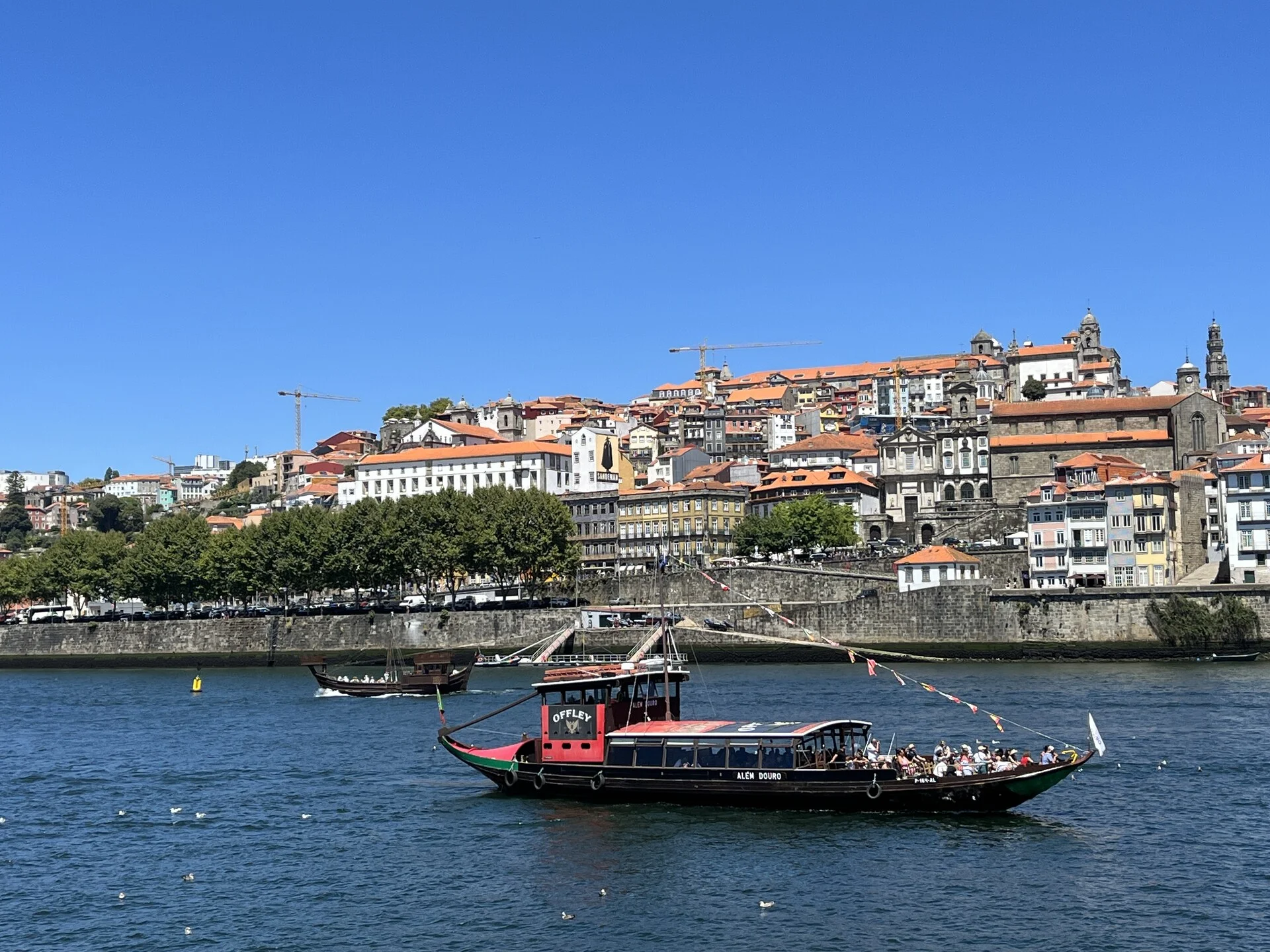 A rabelo boat cruising the Douro River between terraced vineyards in the Douro Valley