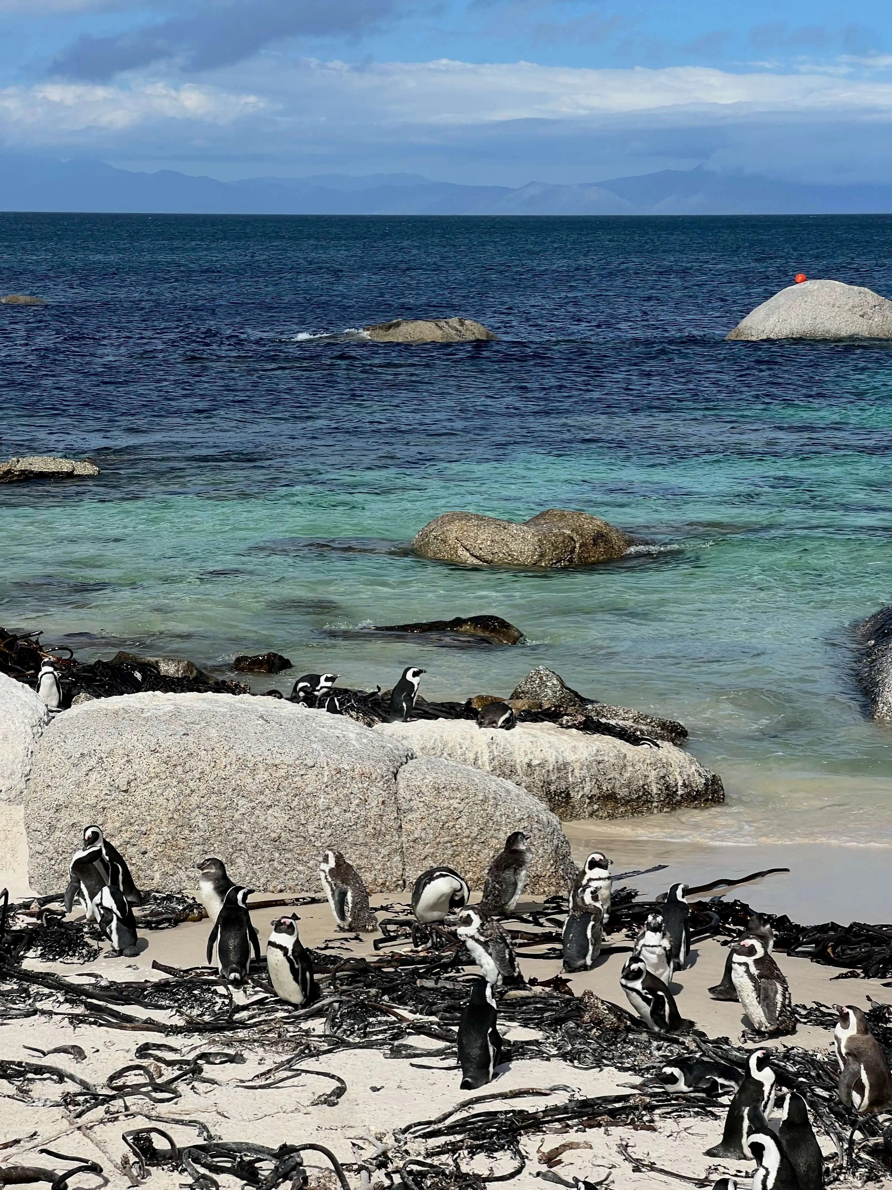 Boulders Beach